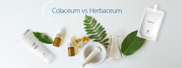 colaceum_vs_herbaceu_20190115-084948_1